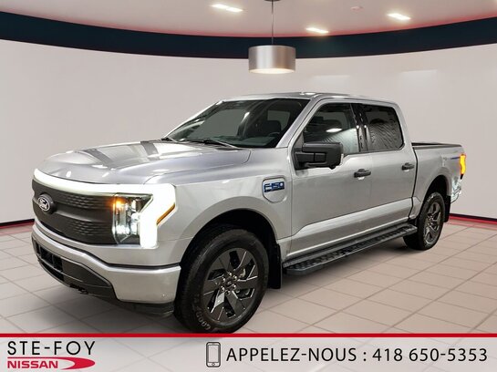 Ford F-150 Lightning S6058 2024 Argent