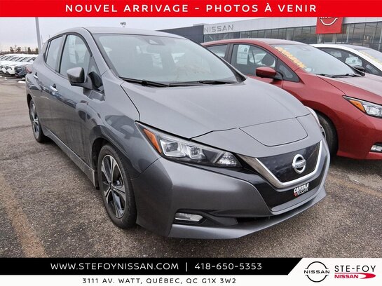 Nissan LEAF S6165 2020 Gris